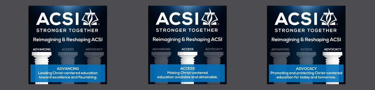 ACSI 3 Pillars